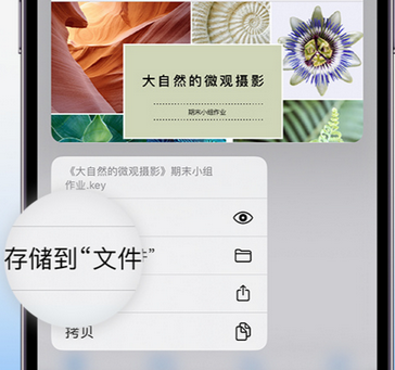 苏仙apple维修中心分享iPhone文件应用中存储和找到下载文件