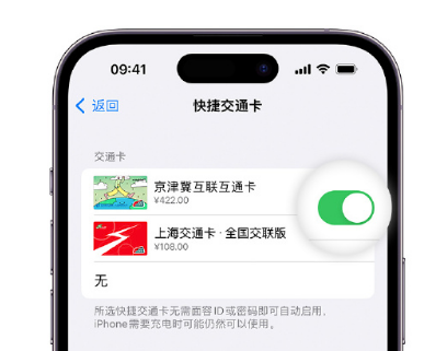 苏仙apple维修点分享iPhone上更换Apple Pay快捷交通卡手绘卡面 