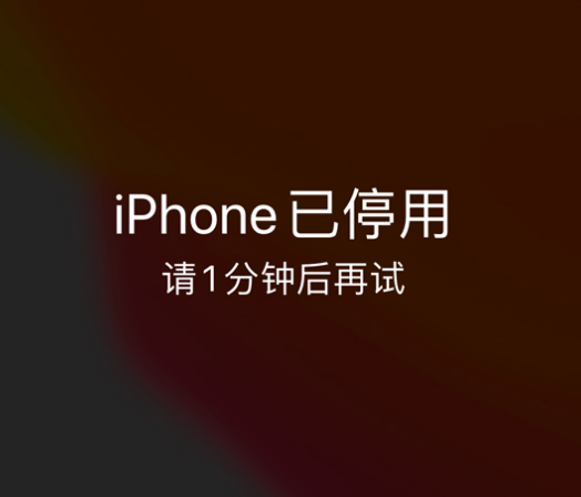 苏仙苹果手机维修分享:iPhone 显示“不可用”或“已停用”怎么办？还能保留数据吗？ 