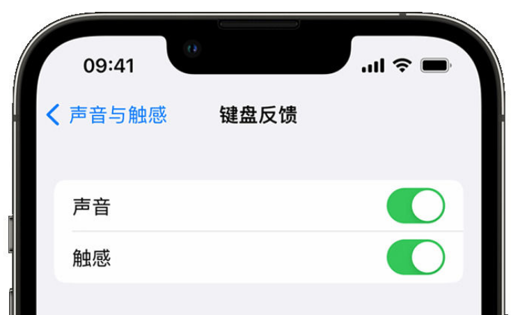 苏仙苹果手机维修分享iPhone 14触感键盘使用方法 