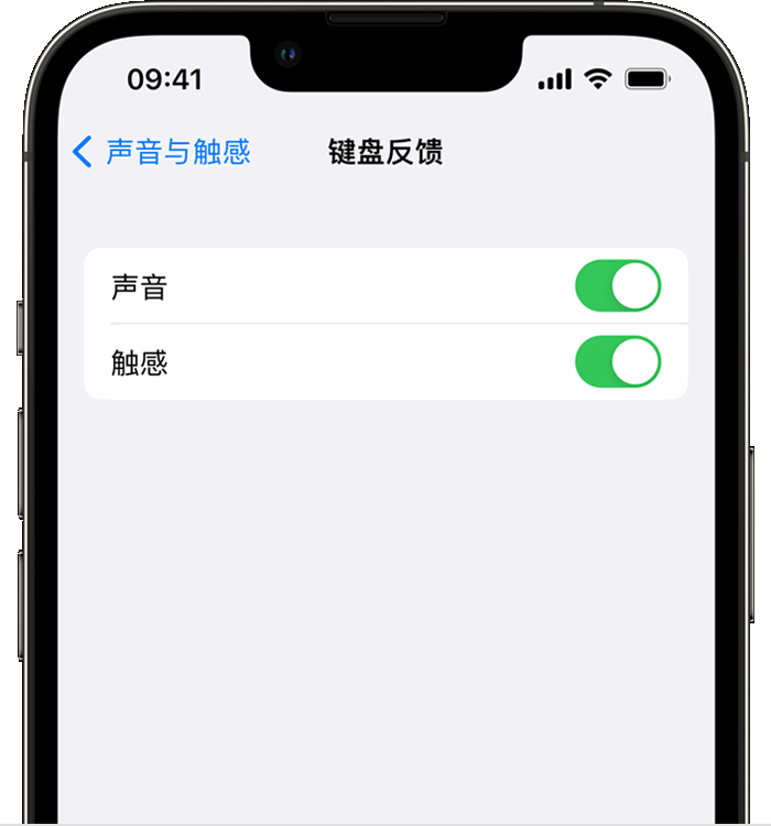 苏仙苹果14维修店分享如何在 iPhone 14 机型中使用触感键盘 