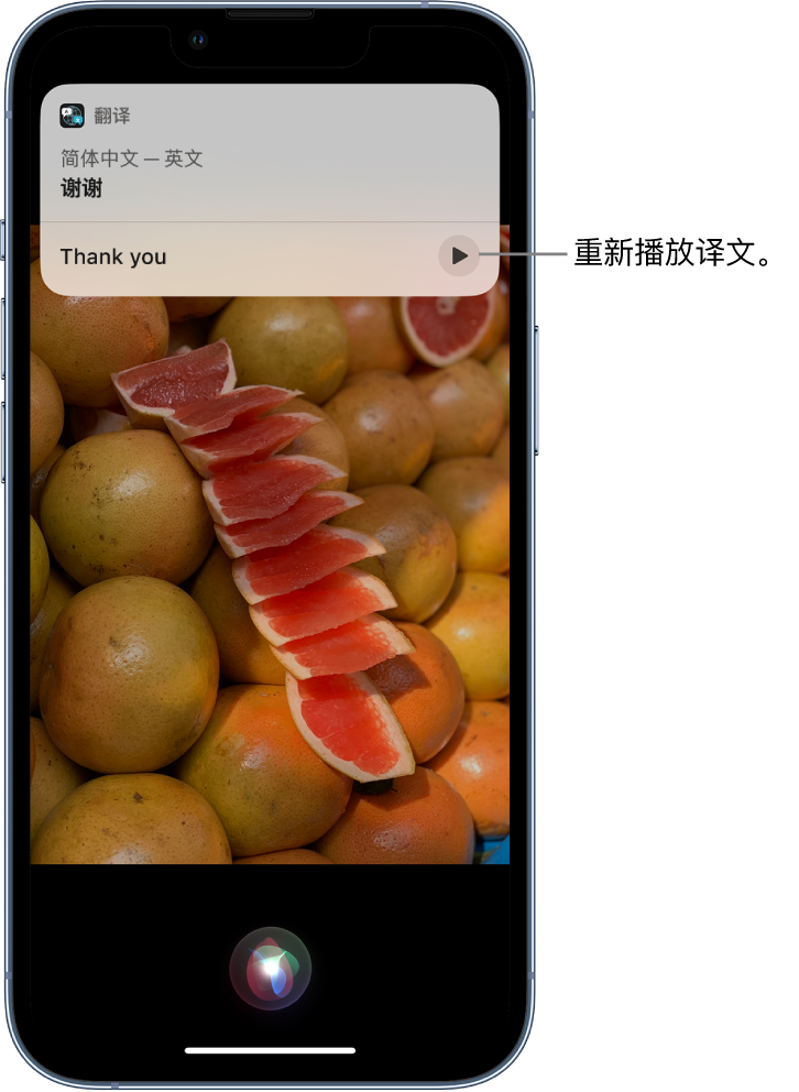 苏仙苹果14维修分享 iPhone 14 机型中使用 Siri：了解 Siri 能帮你做什么 