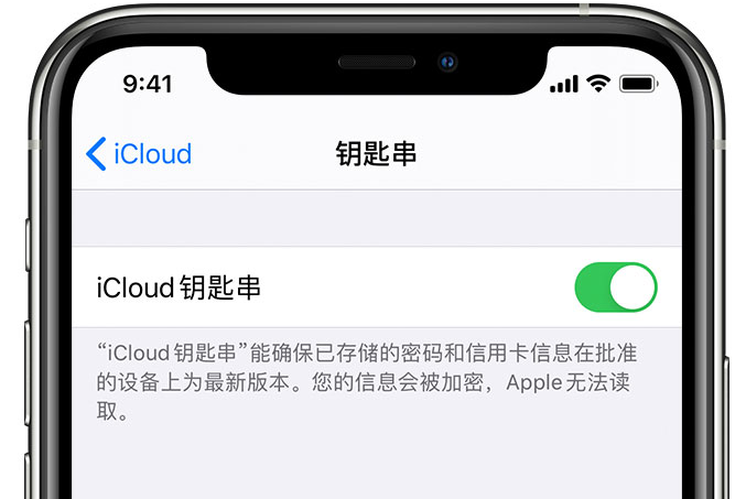 苏仙苹果手机维修分享在 iPhone 上开启 iCloud 钥匙串之后会储存哪些信息 