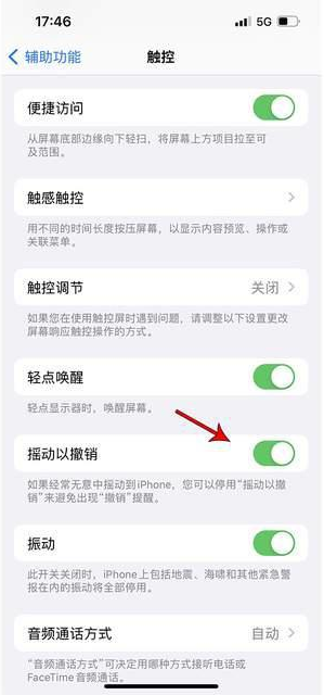 苏仙苹果手机维修分享iPhone手机如何设置摇一摇删除文字 